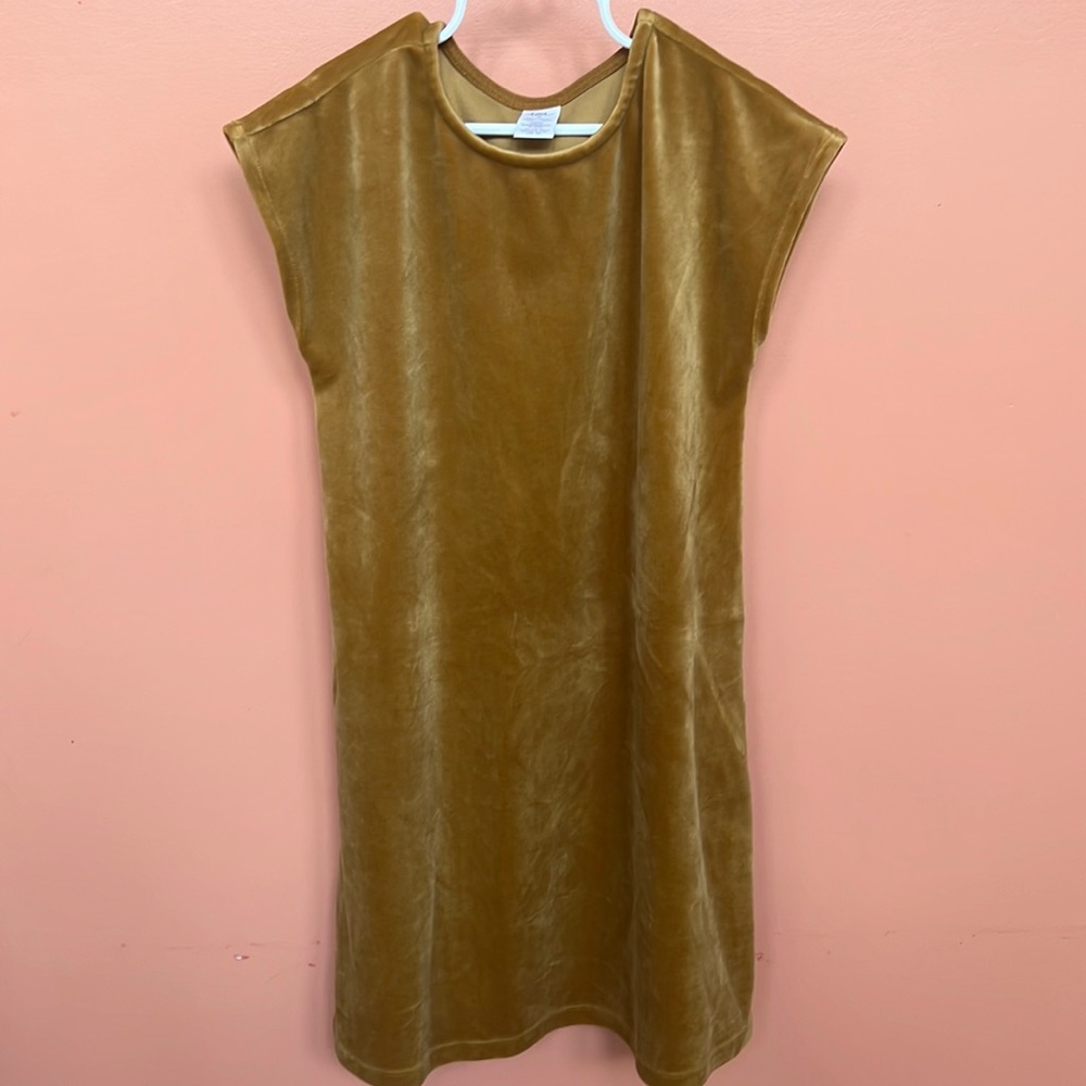 Velour tea collection dress